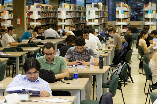 UnB Alexandra Martins